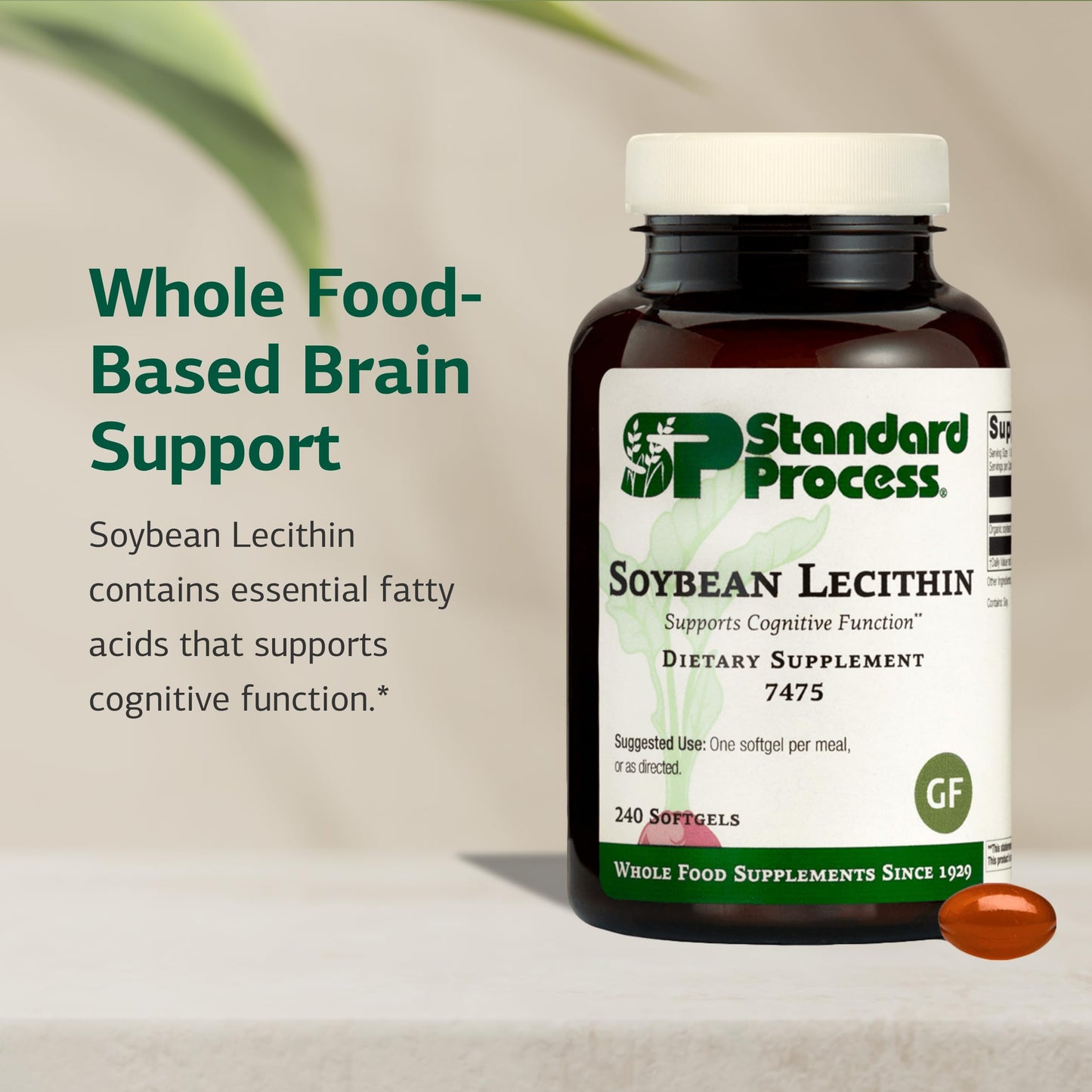 Premium organic soy lecithin softgels by Standard Process for liver and cellular health