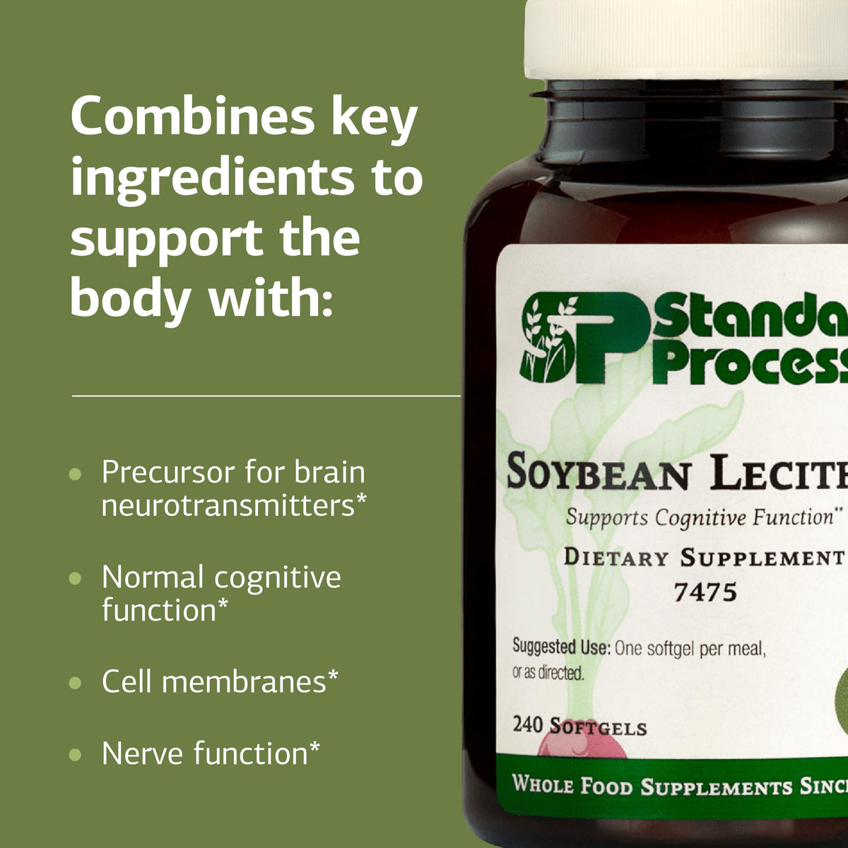 Standard Process Soybean Lecithin softgel capsule close up
