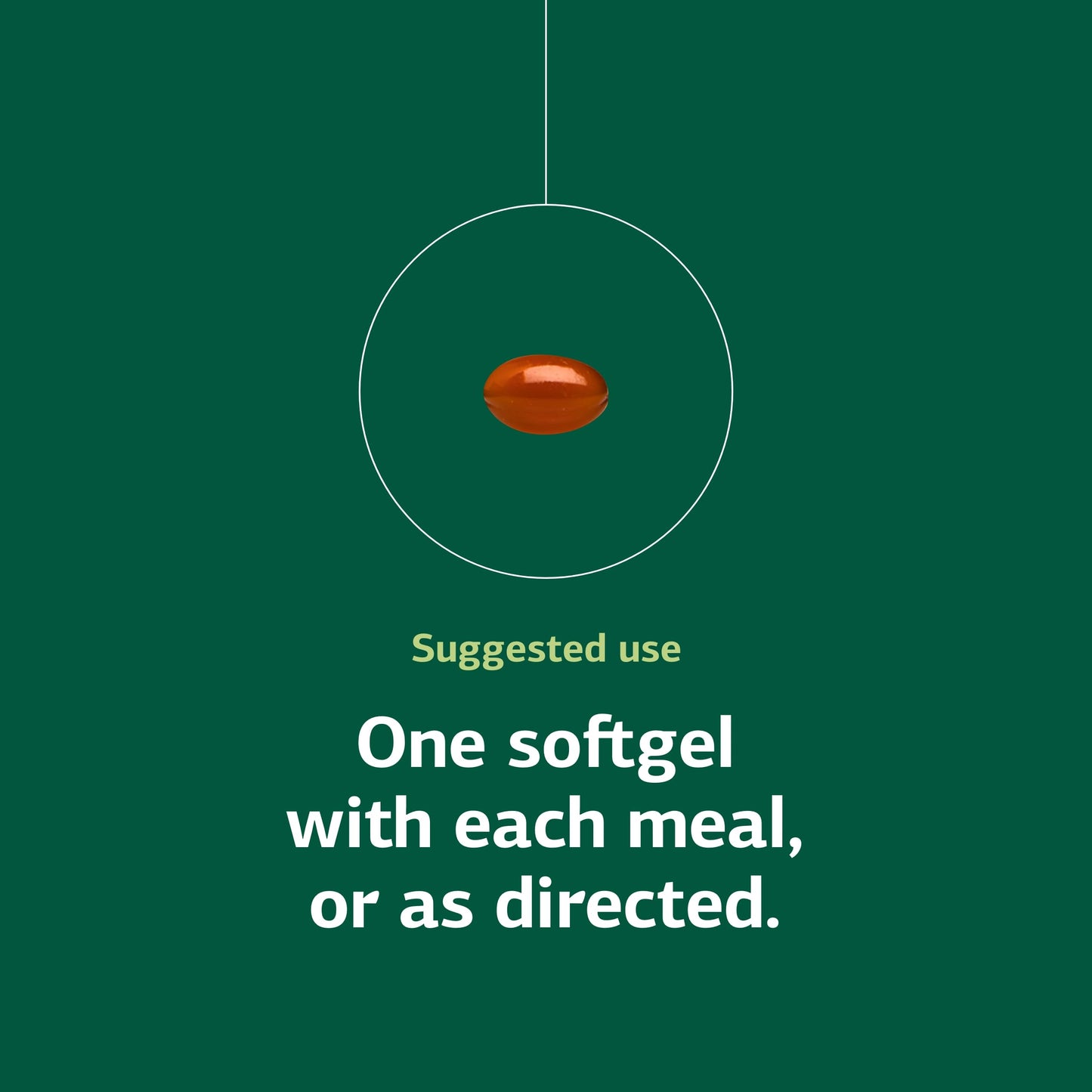 Gluten free whole food soybean lecithin pills for daily cognitive performance support