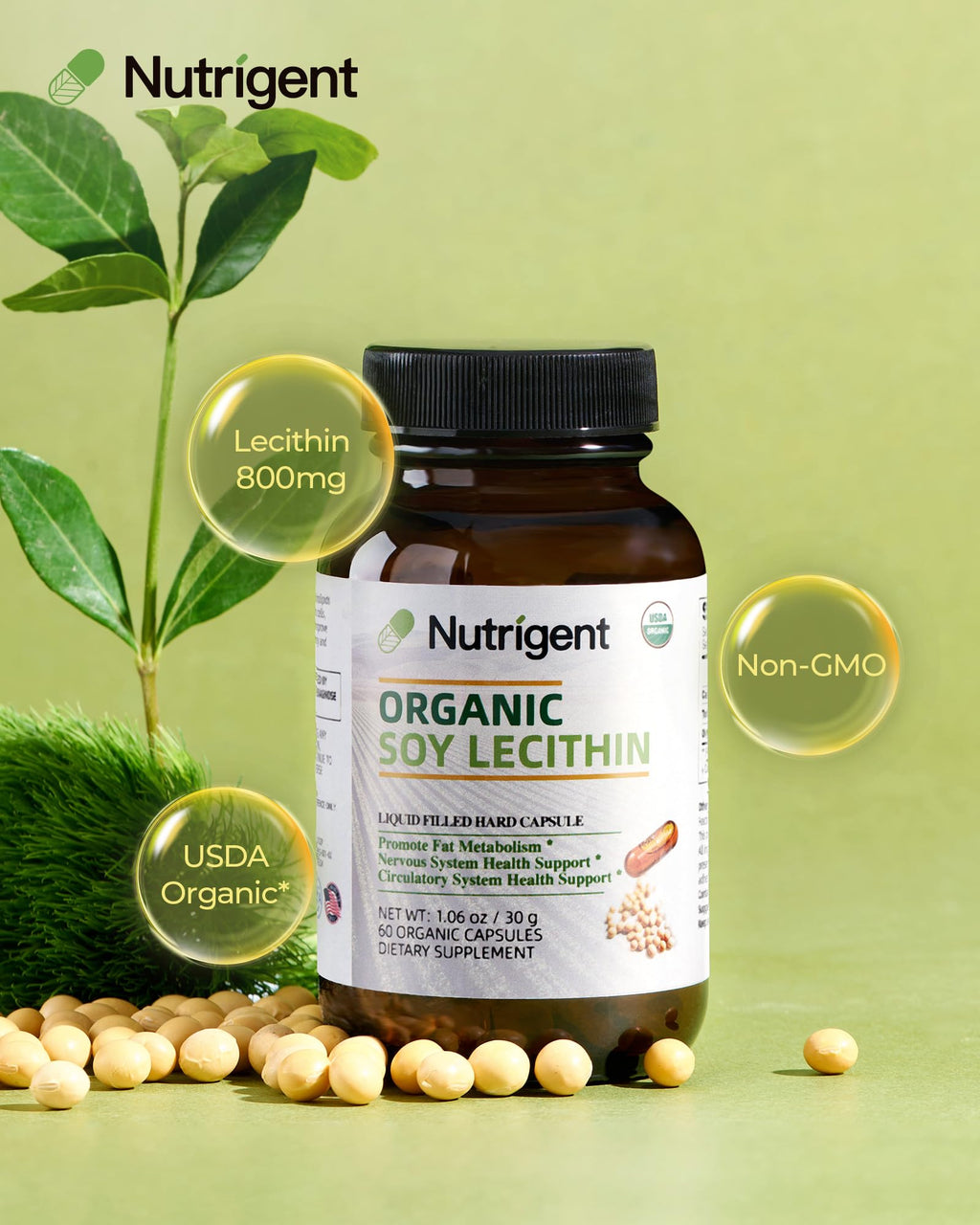 Nutrigent Soy Lecithin 60 liquid capsules supplement facts label and ingredient details.