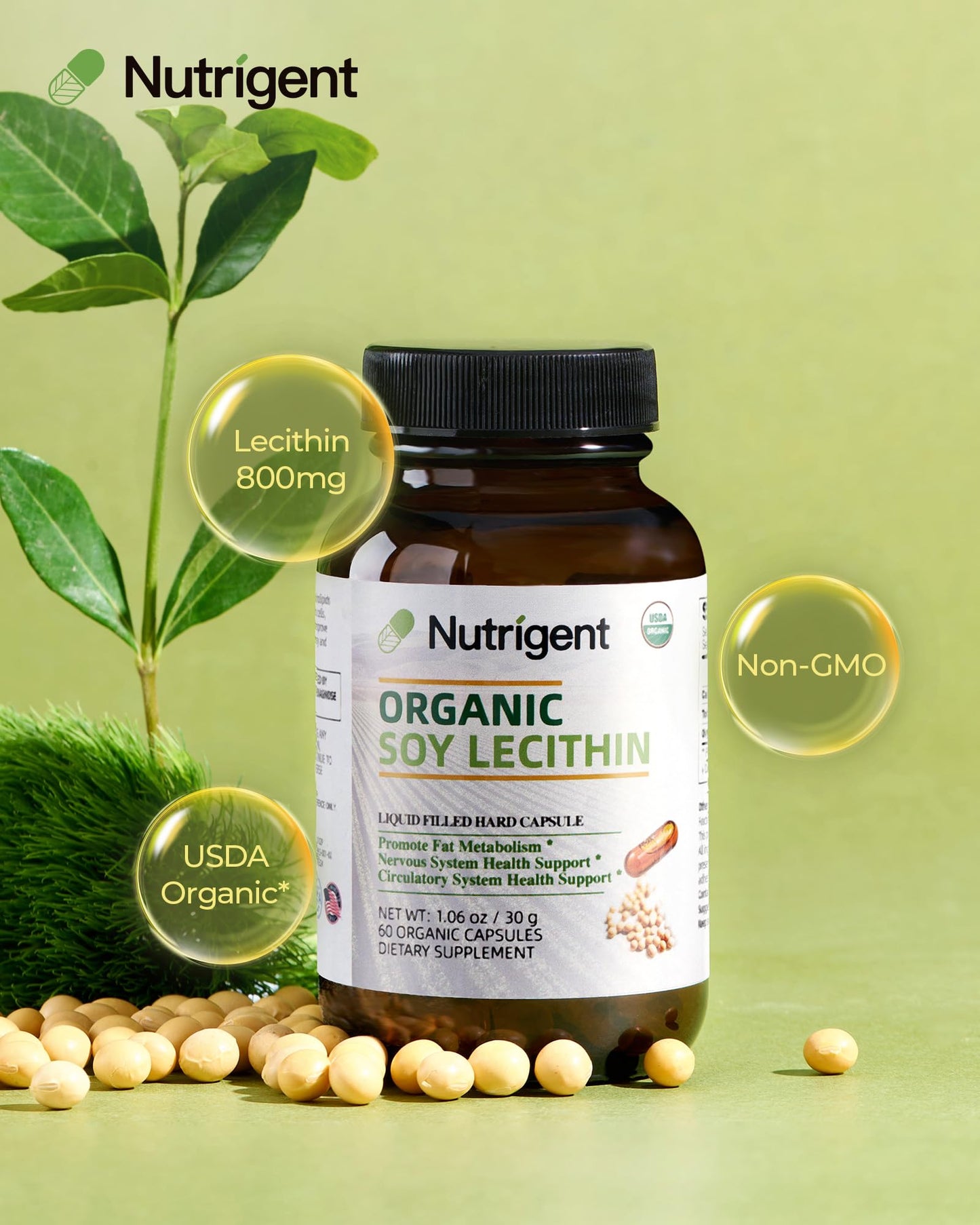 Nutrigent Soy Lecithin 60 liquid capsules supplement facts label and ingredient details.