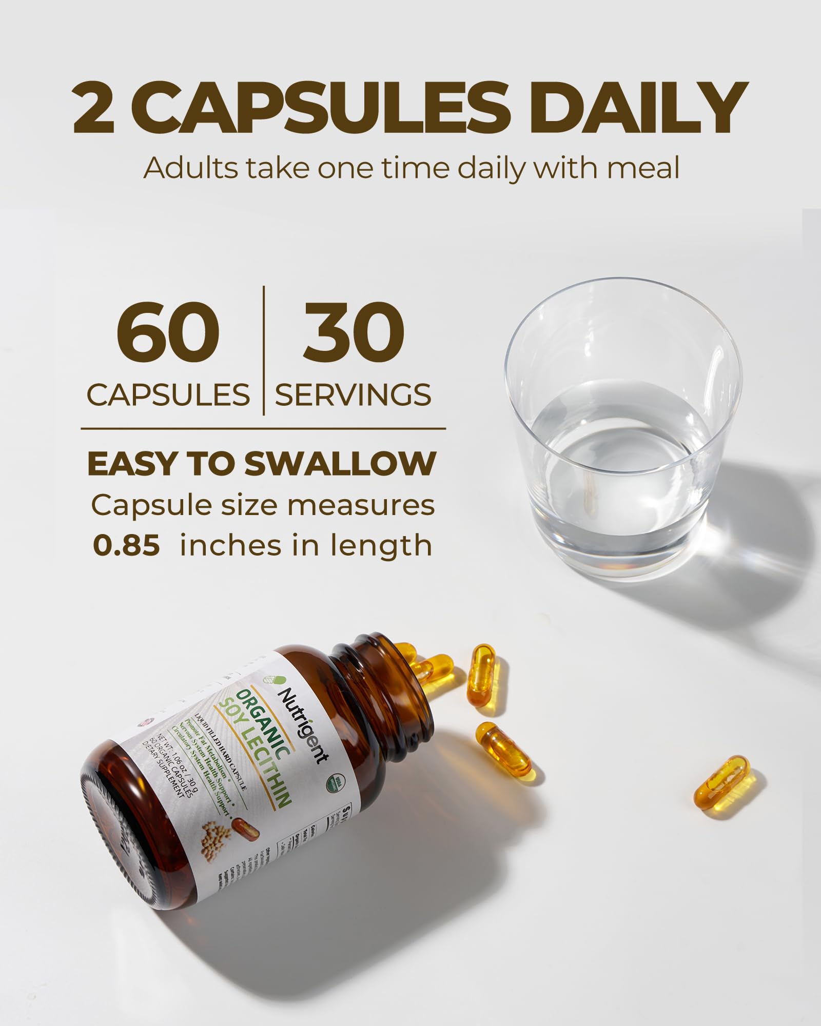 Nutrigent plant based organic soy lecithin bottle emphasizing oxygen blocking capsule technology.