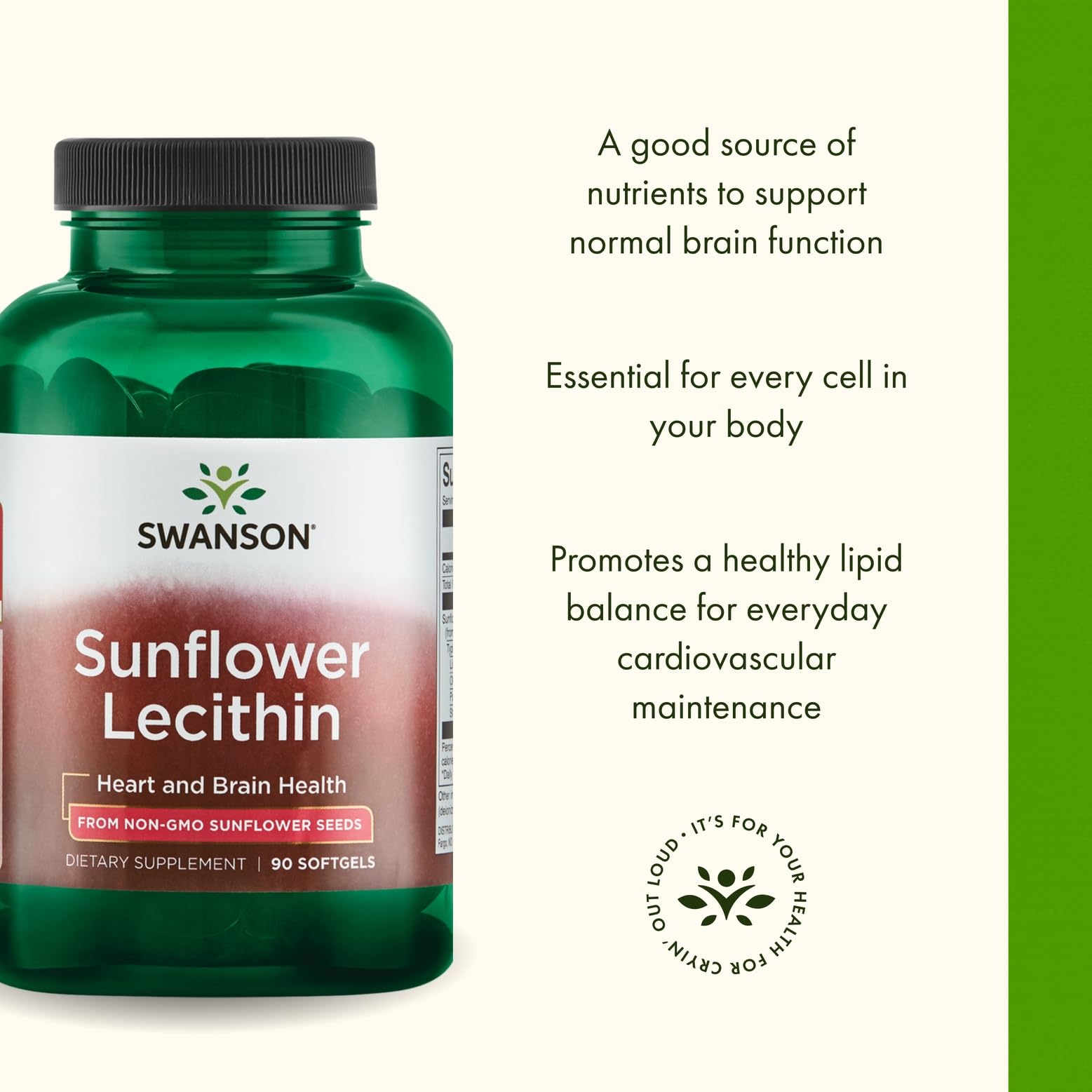 Swanson premium sunflower lecithin 1200 mg capsules close-up showing softgel appearance