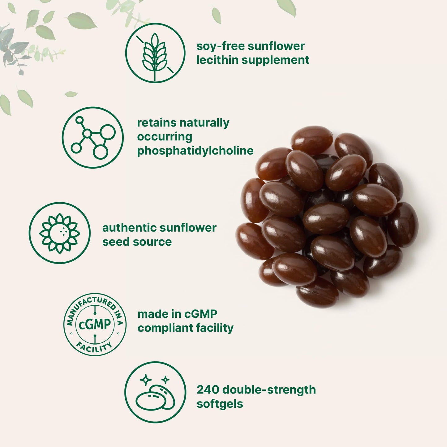 Supplement facts panel on the back of sunflower lecithin phosphatidylcholine pouch