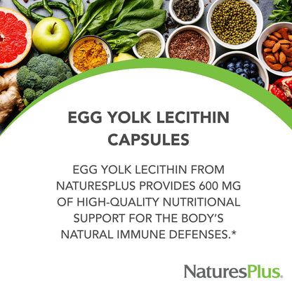 Authentic NaturesPlus Egg Yolk concentrate capsules side view highlighting allergen free product safety info