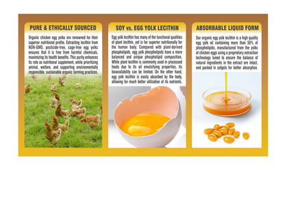 Pharmakon USA imported non GMO egg yolk lecithin capsules for memory support