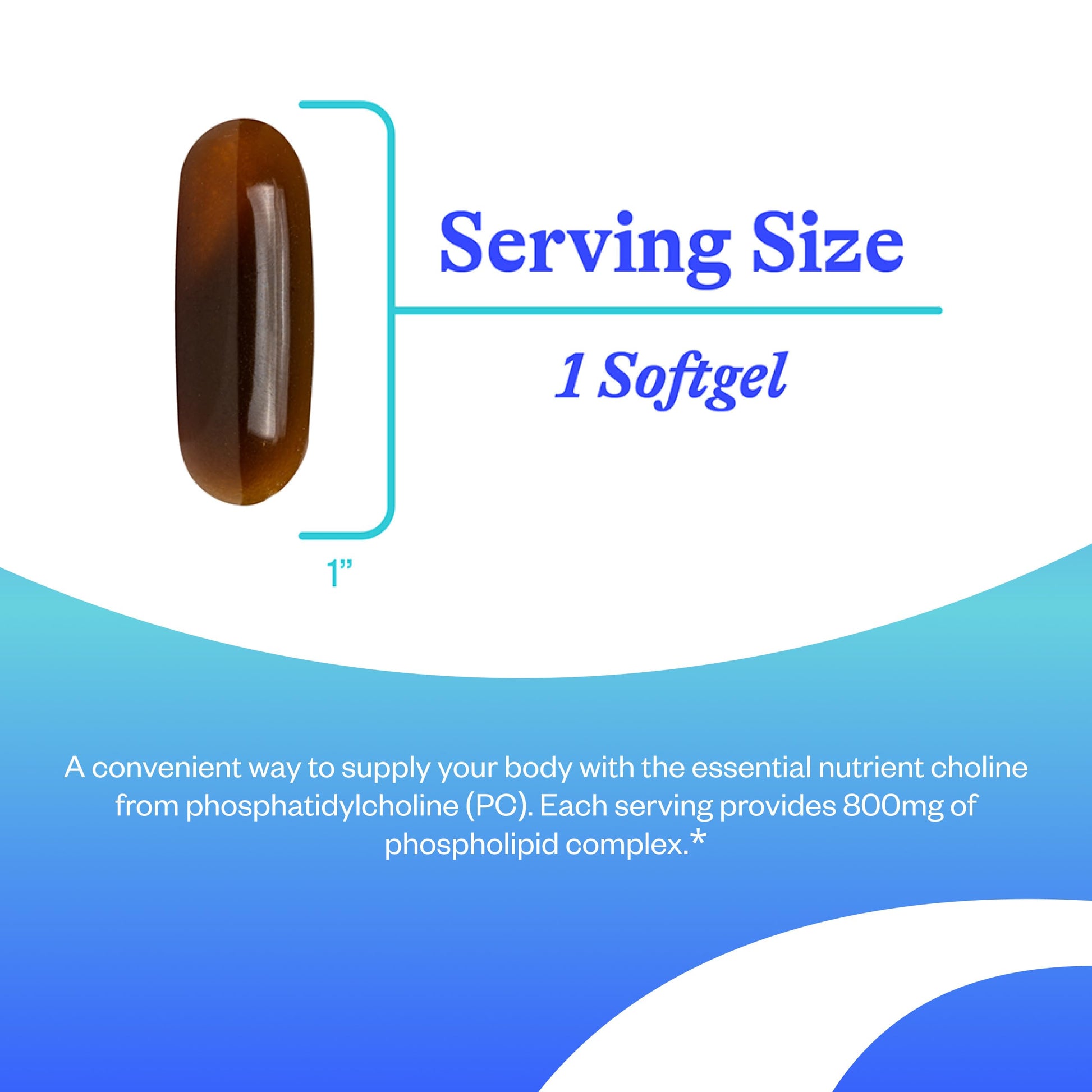 Side view of Seeking Health Optimal PC capsule bottle showing clear directions for daily use and important allergen free declarations.