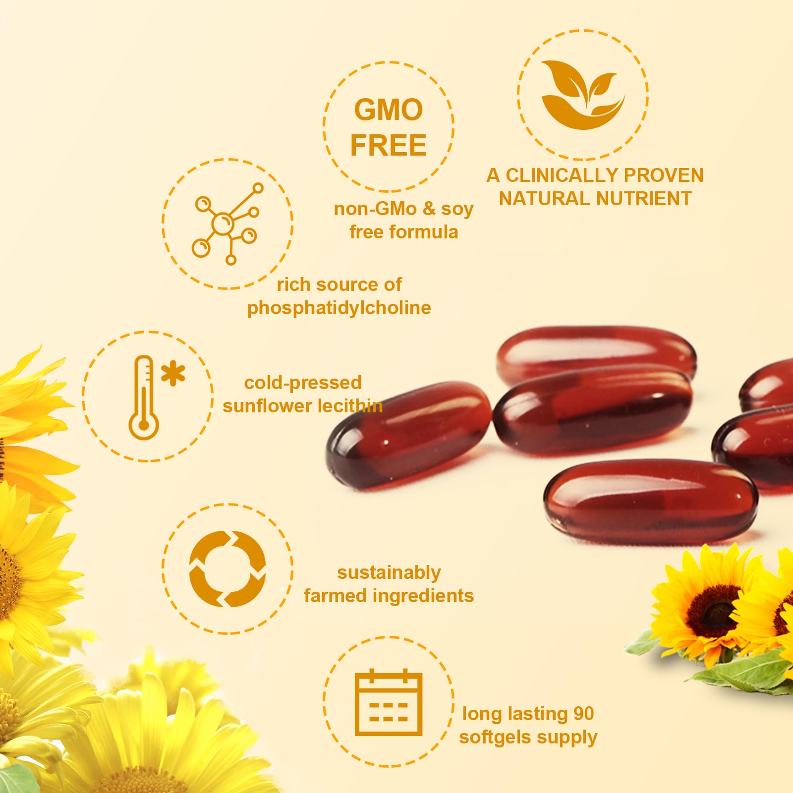 Authentic JulyDeer sunflower lecithin plant based dietary supplement bottle on clean background.