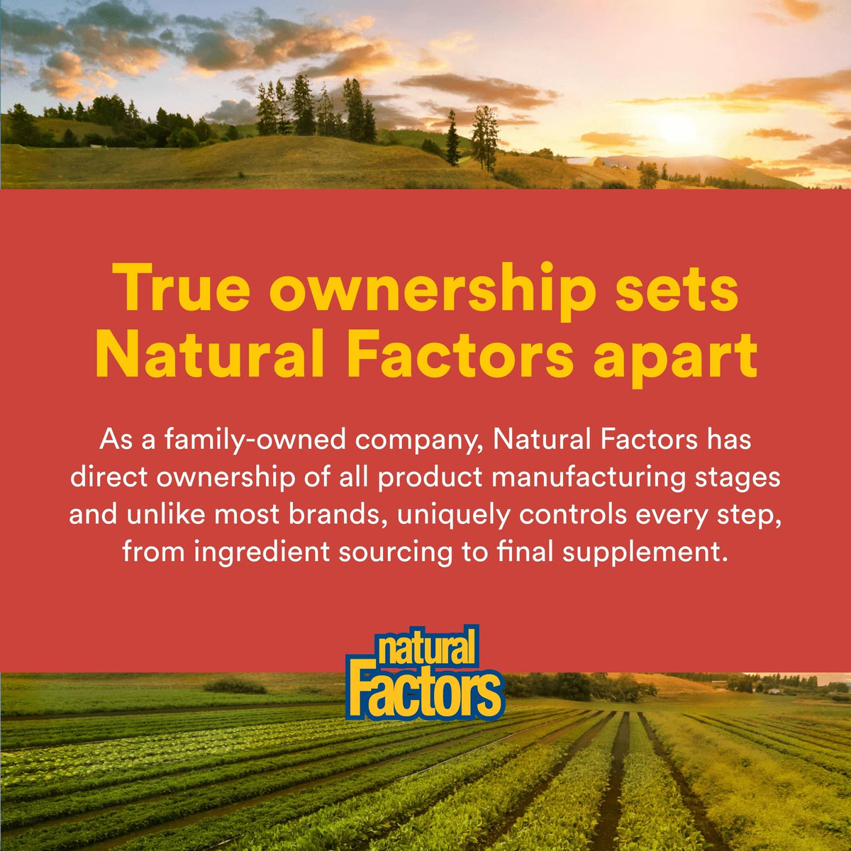 Natural Factors packaging back label with usage directions