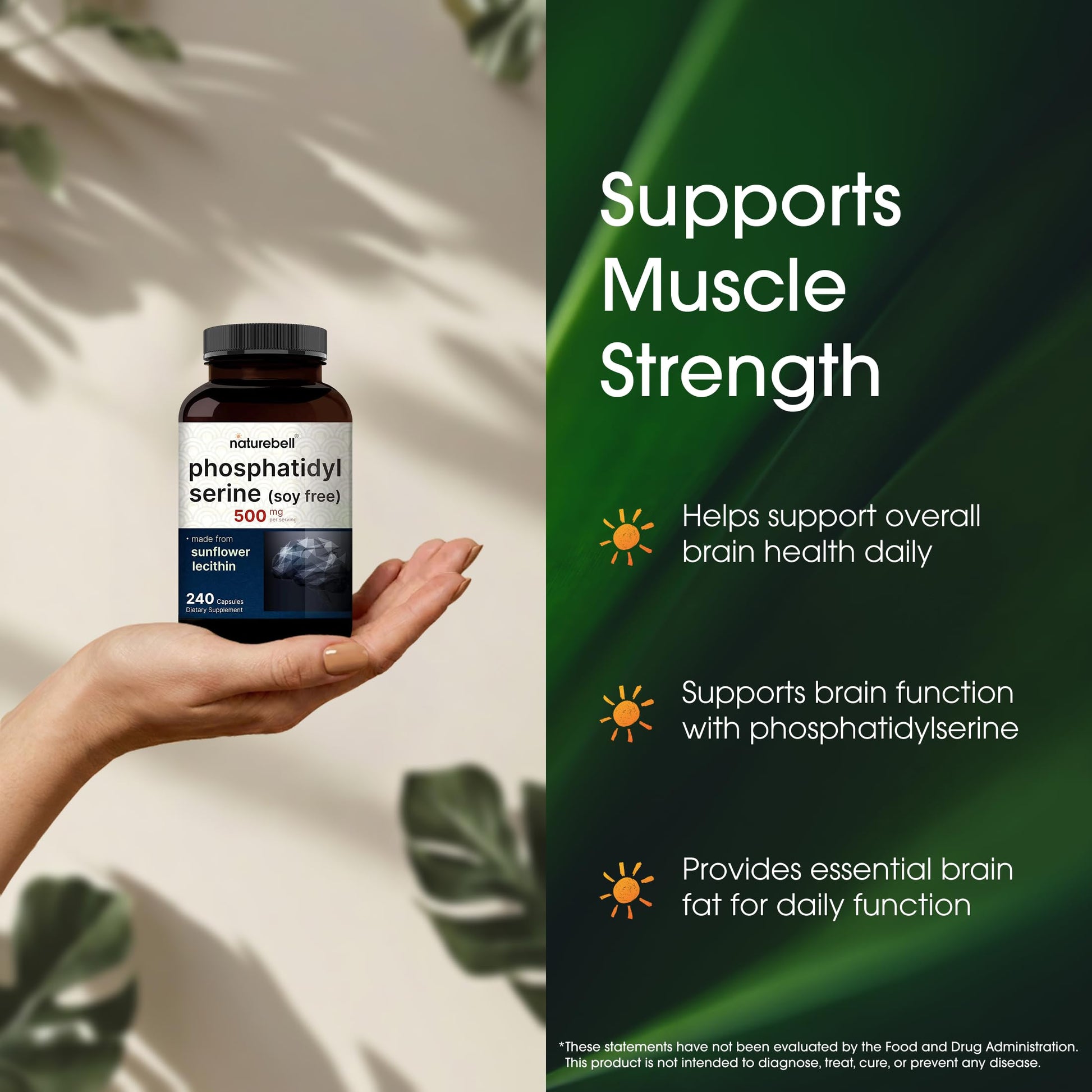 NatureBell brain health support supplement capsules displayed next to the bottle