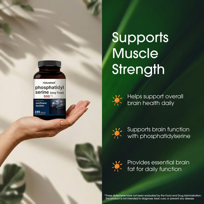 NatureBell brain health support supplement capsules displayed next to the bottle
