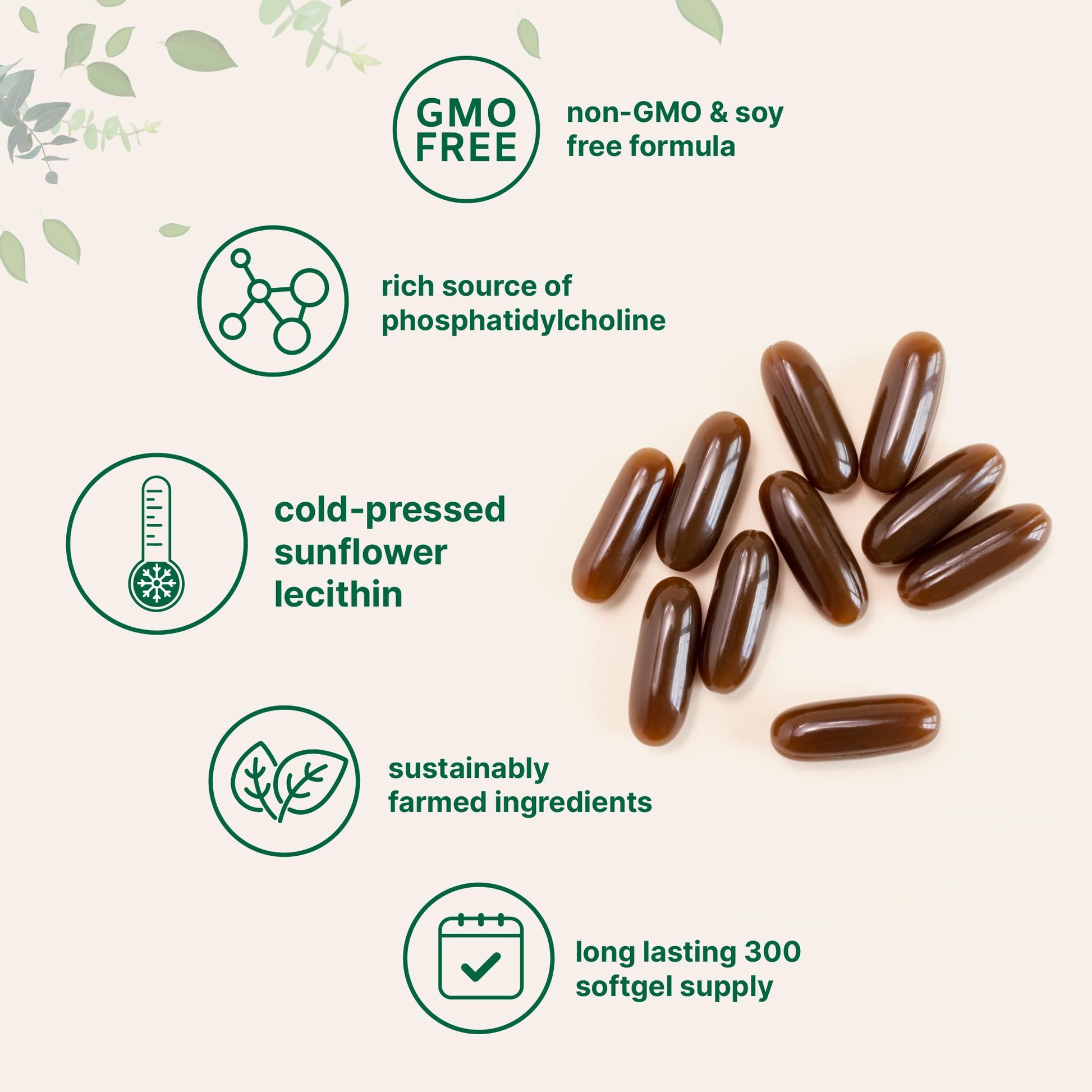 Soy free non GMO sunflower lecithin 1600mg softgels for brain health