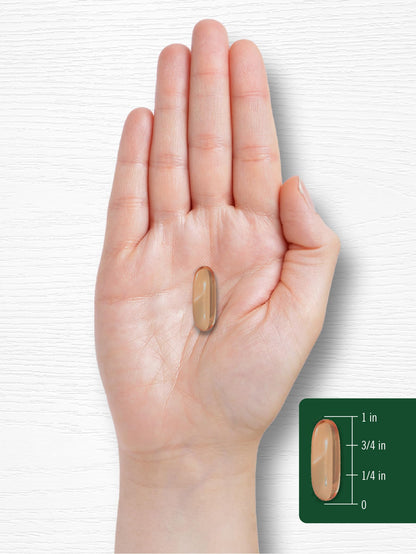 Authentic Carlyle lecithin 240 softgels bottle for cognitive support
