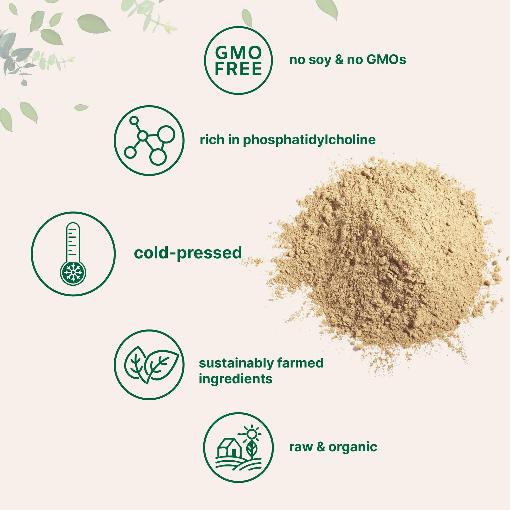 Pure plant based sunflower lecithin powder for brain and liver health