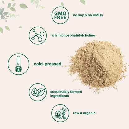 Pure plant based sunflower lecithin powder for brain and liver health