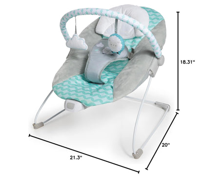 Ingenuity Ity Bouncer packaging and product overview