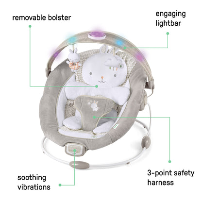 Ingenuity Twinkle Tails bouncer showing light up toy bar