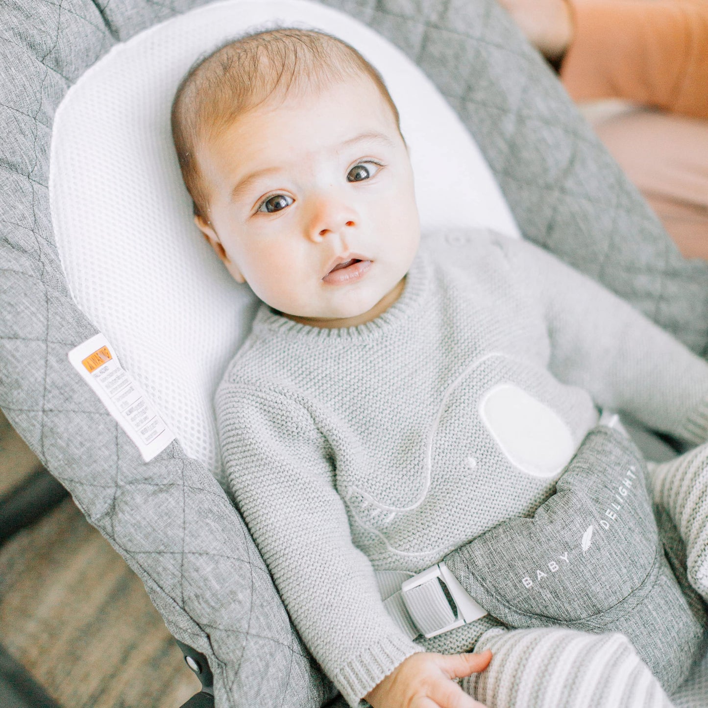 Baby Delight Aura Deluxe safety harness and breathable mesh detail