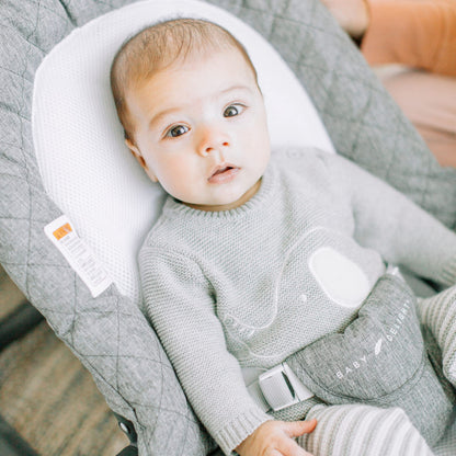 Baby Delight Aura Deluxe safety harness and breathable mesh detail