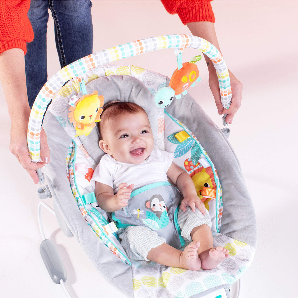 Whimsical Wild bouncer packaging and overall product layout for nursery setup.