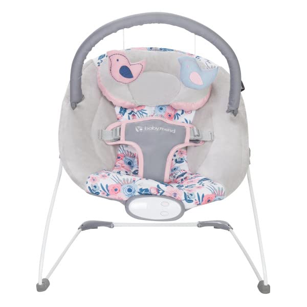 Full box and packaging of imported Smart Steps baby bouncer