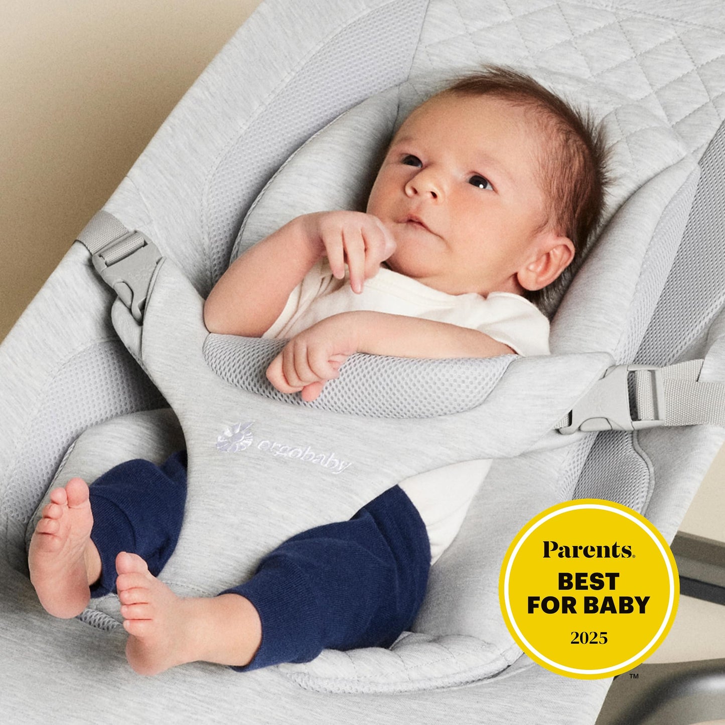 Ergobaby Evolve bouncer newborn insert support view