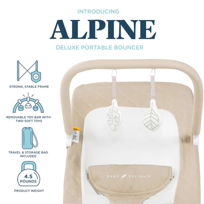 Baby Delight Alpine Deluxe bouncer folded flat in travel bag