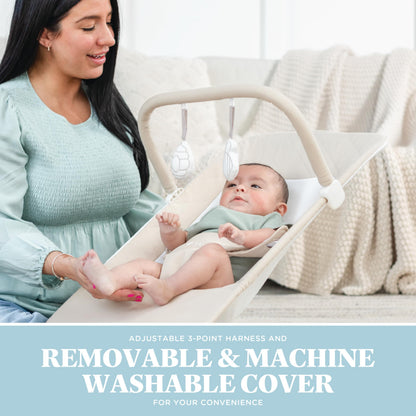 Top view of Baby Delight Alpine Deluxe bouncer harness system