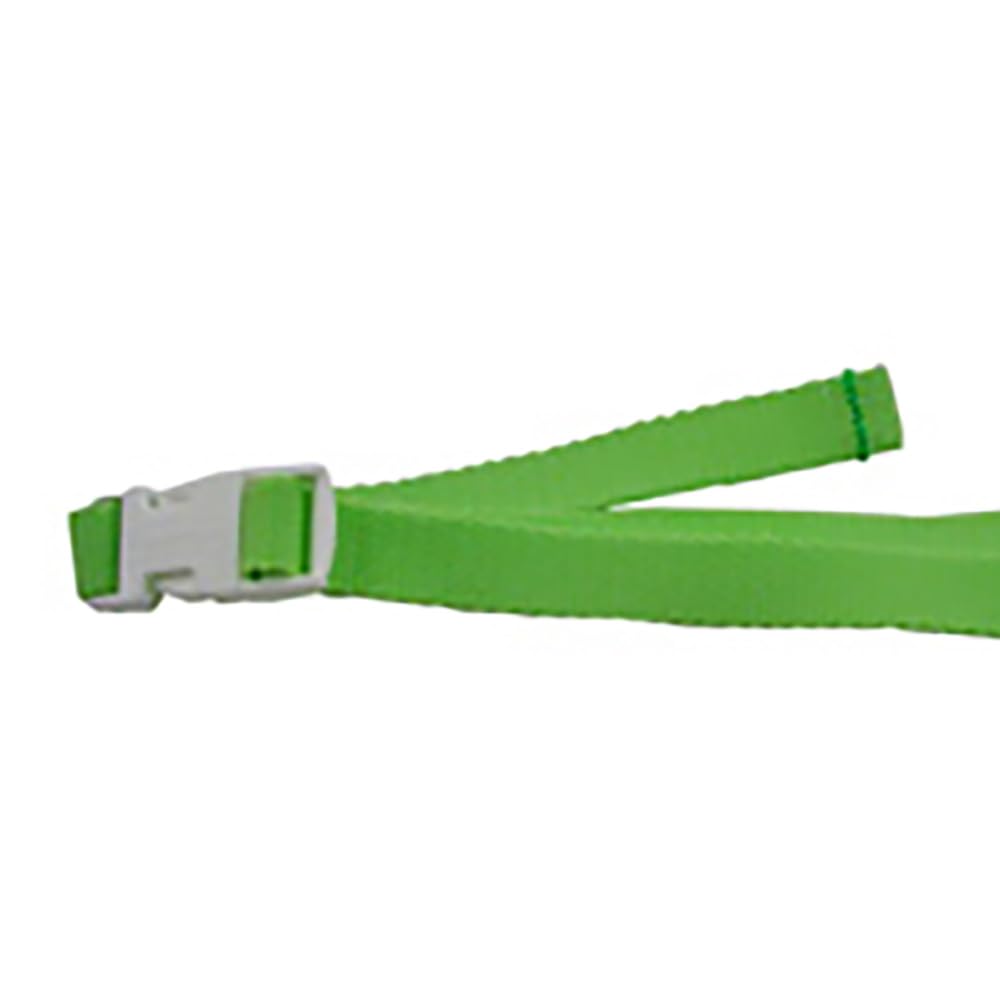 Fisher-Price booster seat anchor strap buckle detail