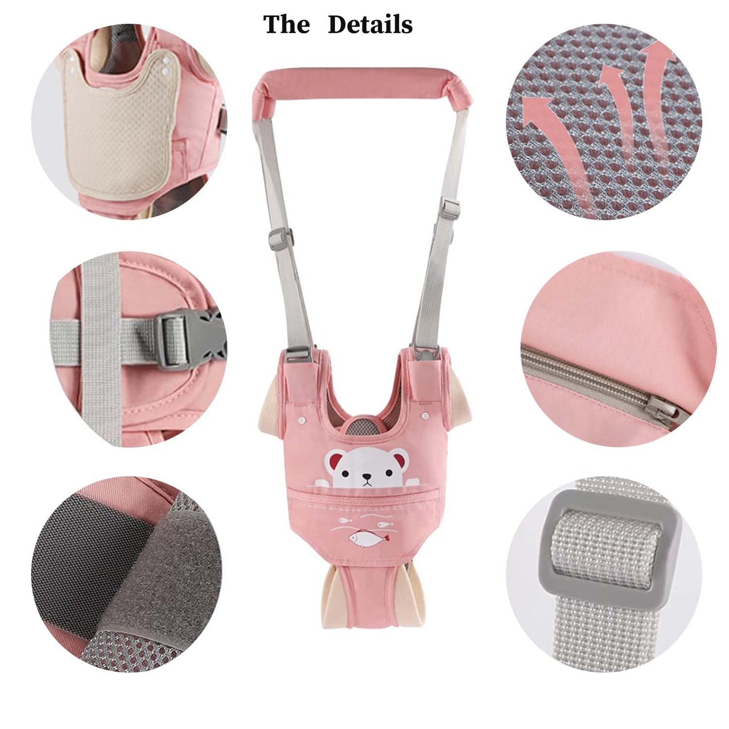Adjustable straps on Ocanoiy baby walking assistant belt