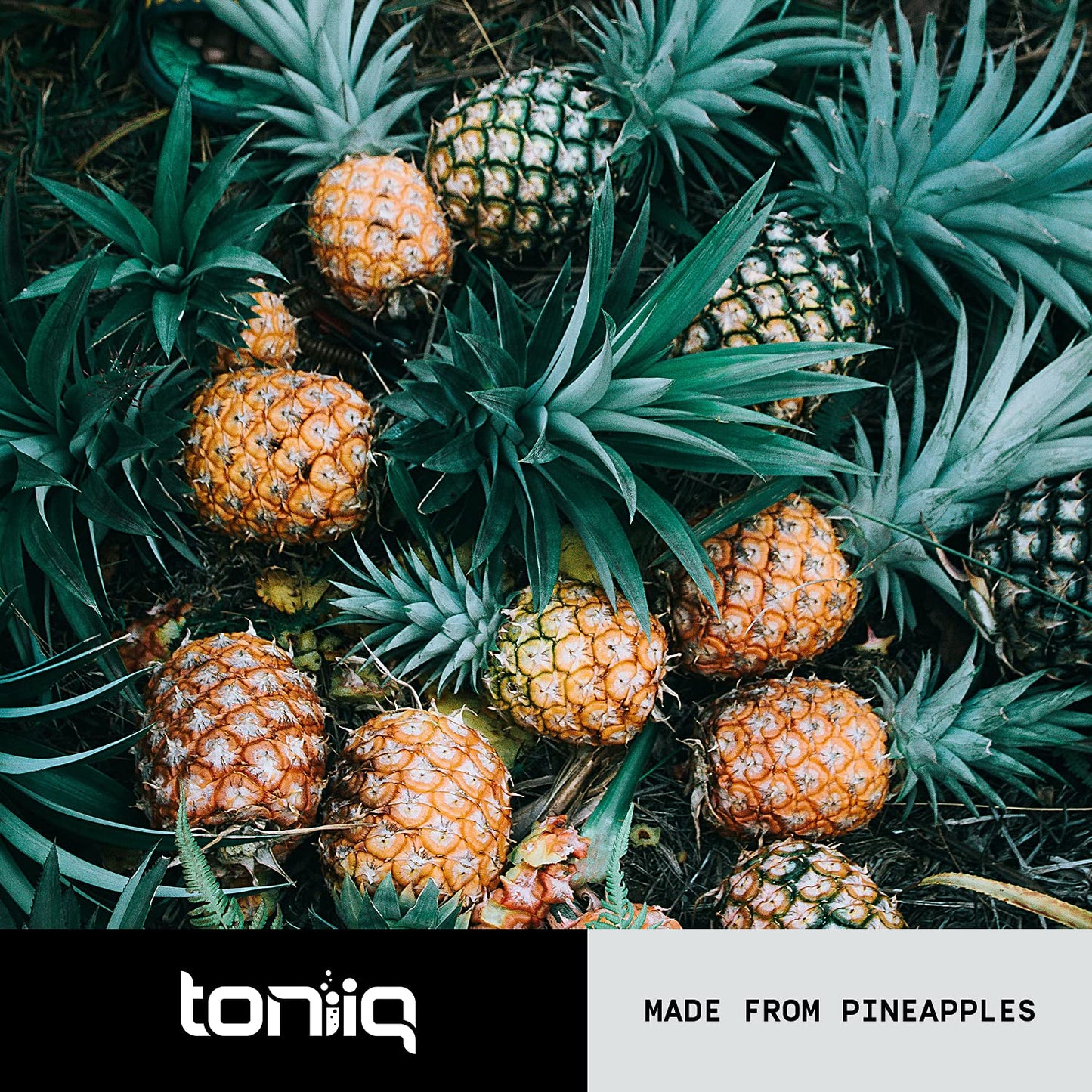 Toniiq Ultra High Strength Bromelain 120 count bottle