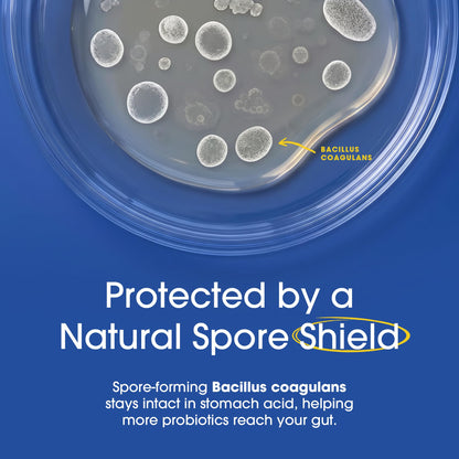 Vegan gluten-free probiotic formula bottle showing certified non-GMO seal