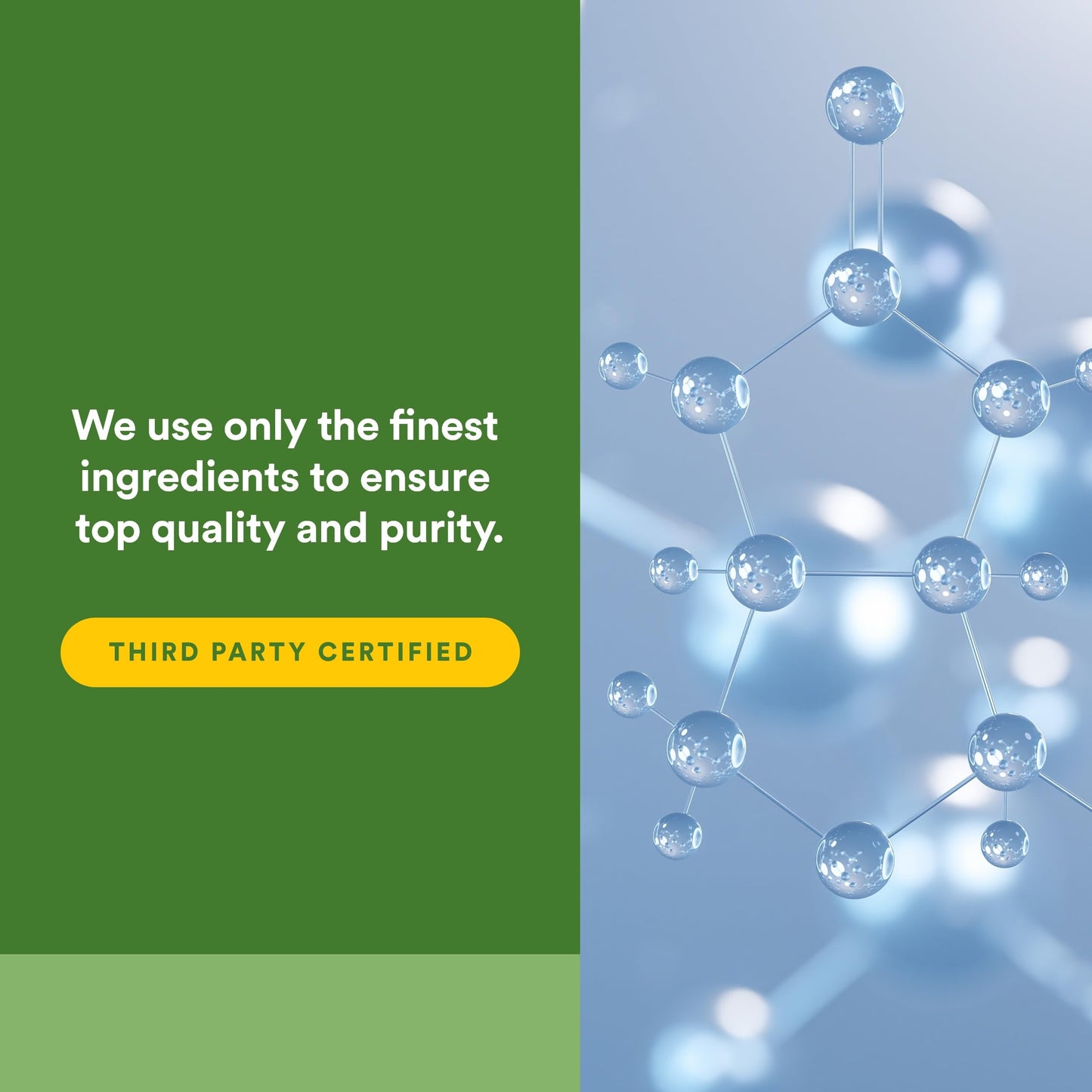 Close up of the nutritional facts and ingredient labels on Natural Factors Lactase Enzyme