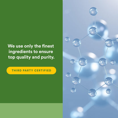 Close up of the nutritional facts and ingredient labels on Natural Factors Lactase Enzyme