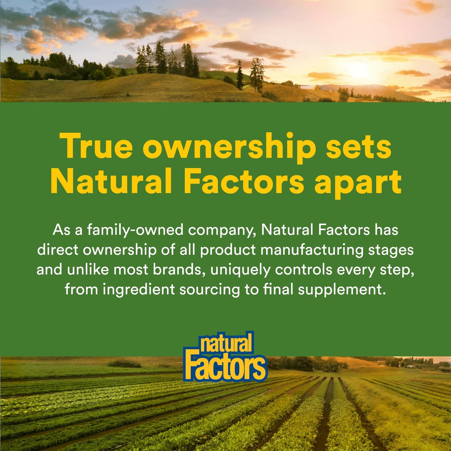 Premium dietary supplement by Natural Factors for lactose intolerance symptoms relief