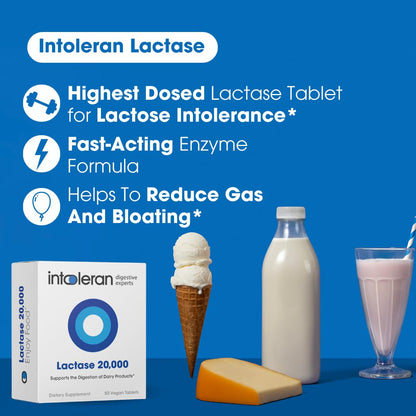 Intoleran high potency lactase enzyme travel tin back view detailing clean ingredient profile