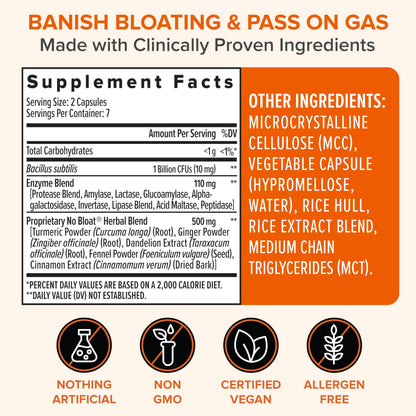Close up of Zenwise Health No Bloat capsules detailing the organic ginger dandelion and lactase formula