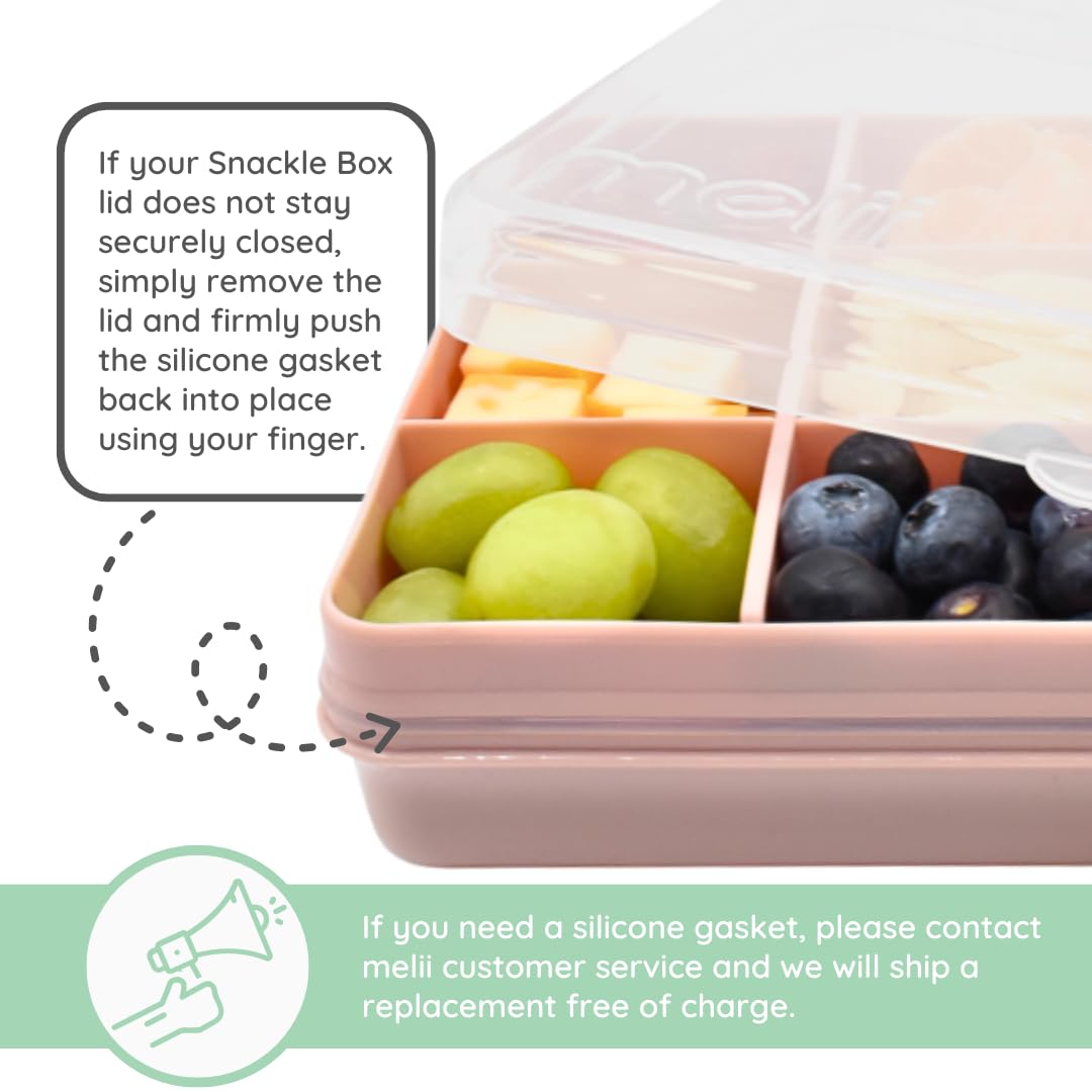 Melii Snackle Box with removable dividers displayed
