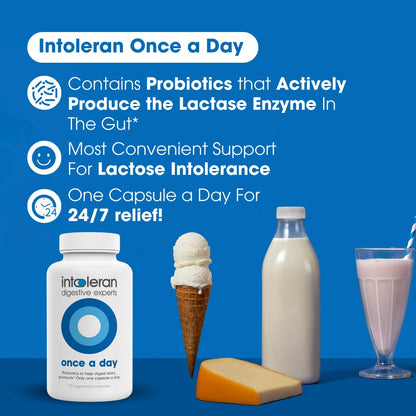 Intoleran once daily digestive enzyme probiotic capsule close up visual