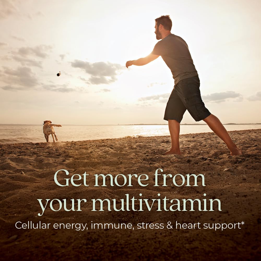New Chapter Men's Multivitamin twenty four tablets bottle label nutrition facts
