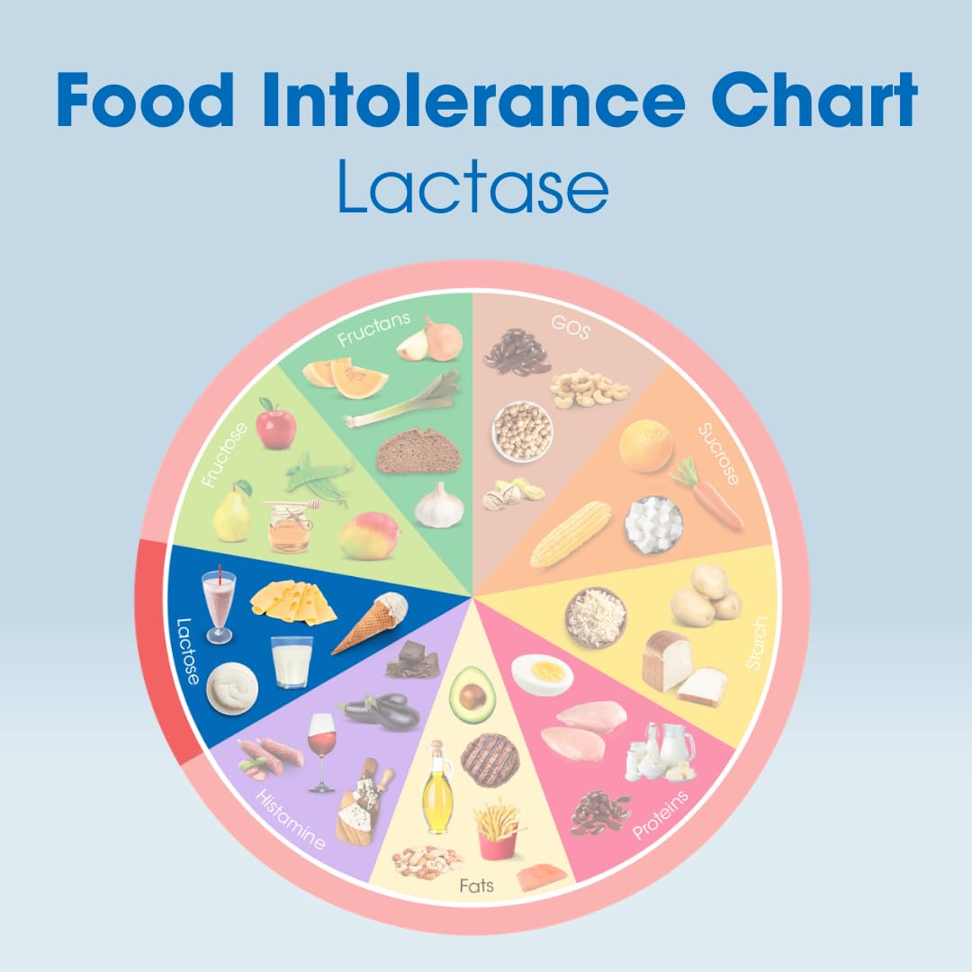 Premium imported Intoleran Lactase 20000 high potency digestive enzyme for anti bloating support
