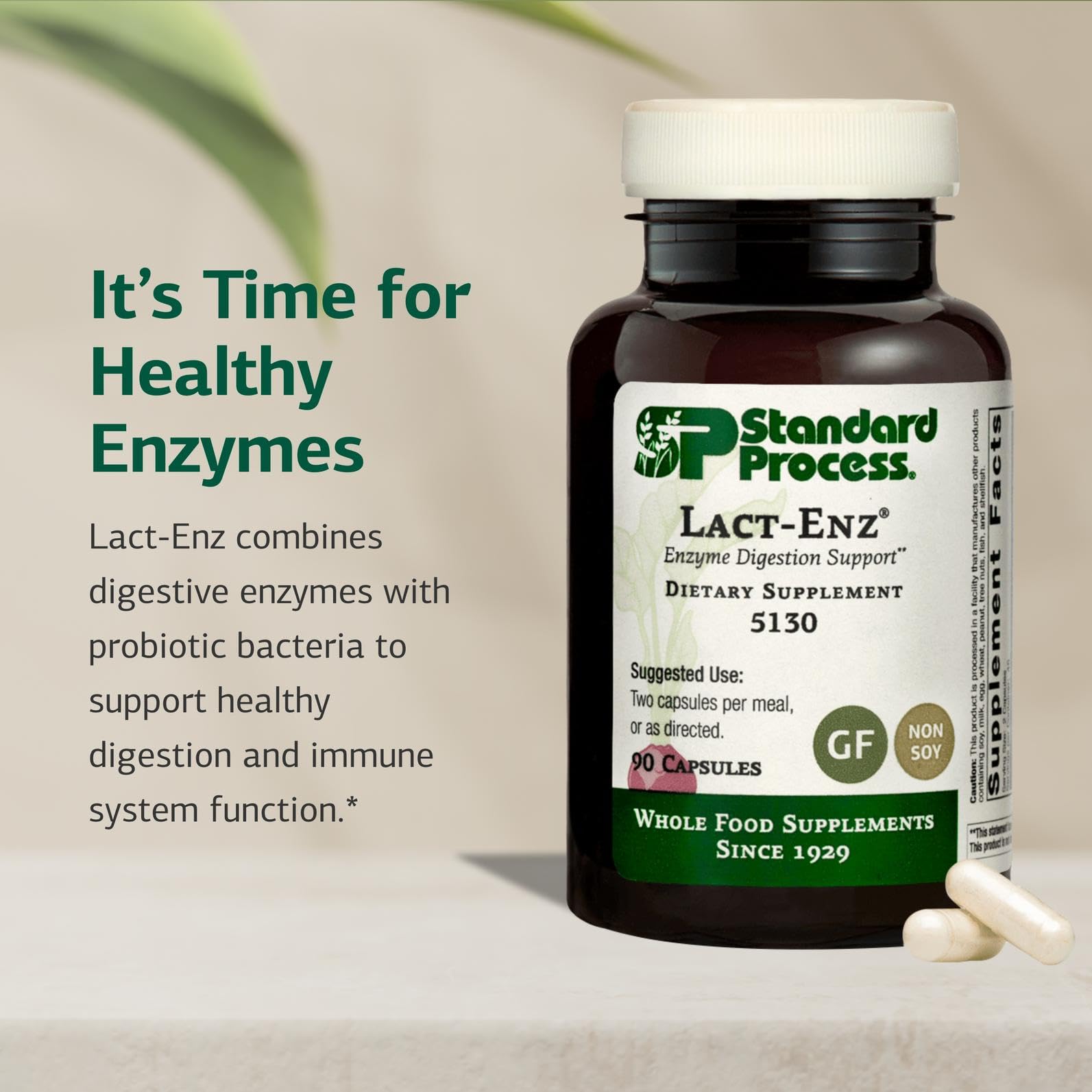 Authentic USA imported Standard Process gut health supplement