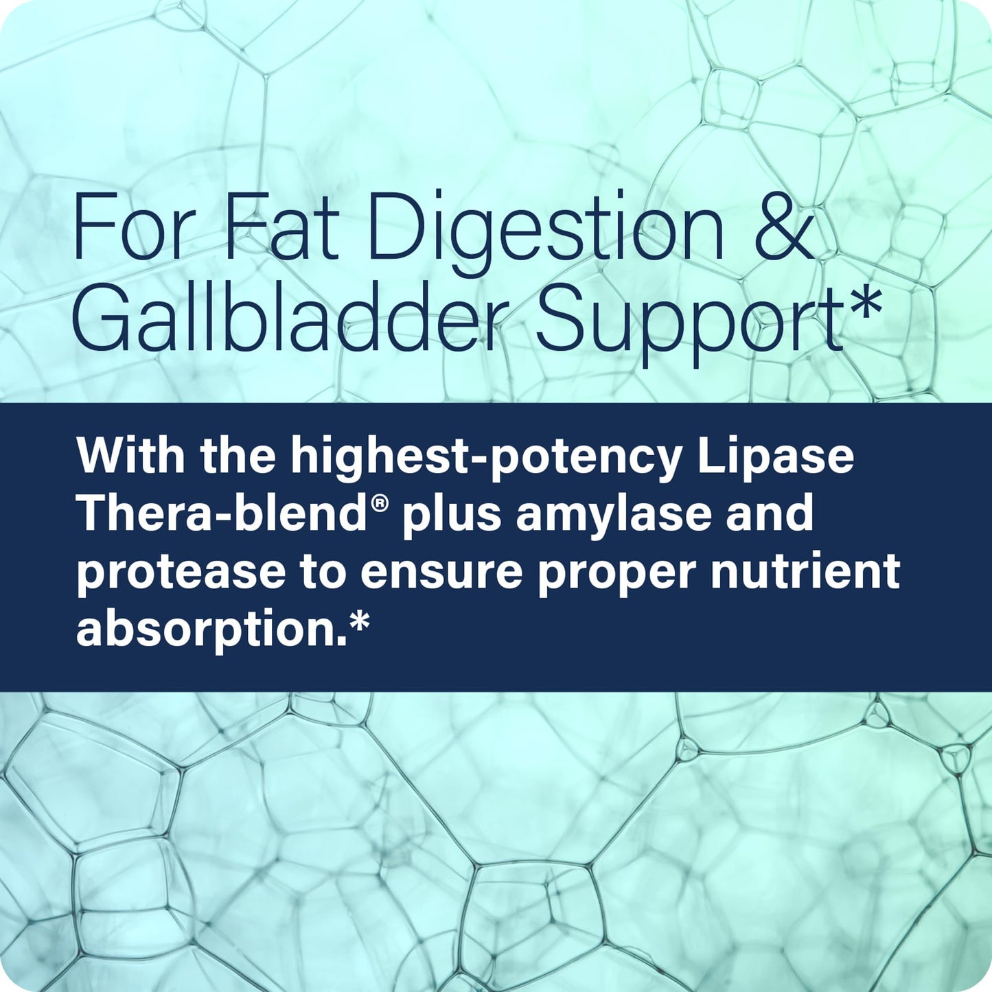 Side angle view of Enzyme Science Lypo Optimize advanced lipase digestive enzyme bottle.