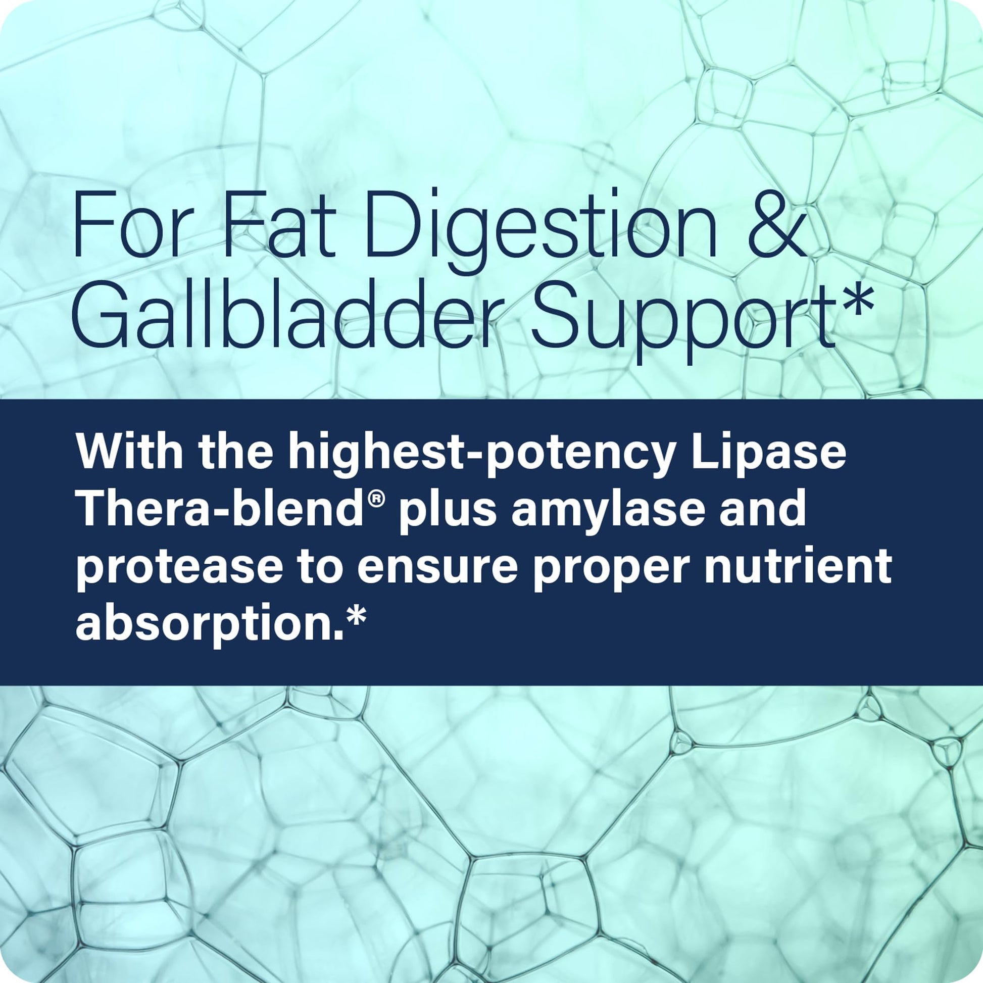 Side angle view of Enzyme Science Lypo Optimize advanced lipase digestive enzyme bottle.