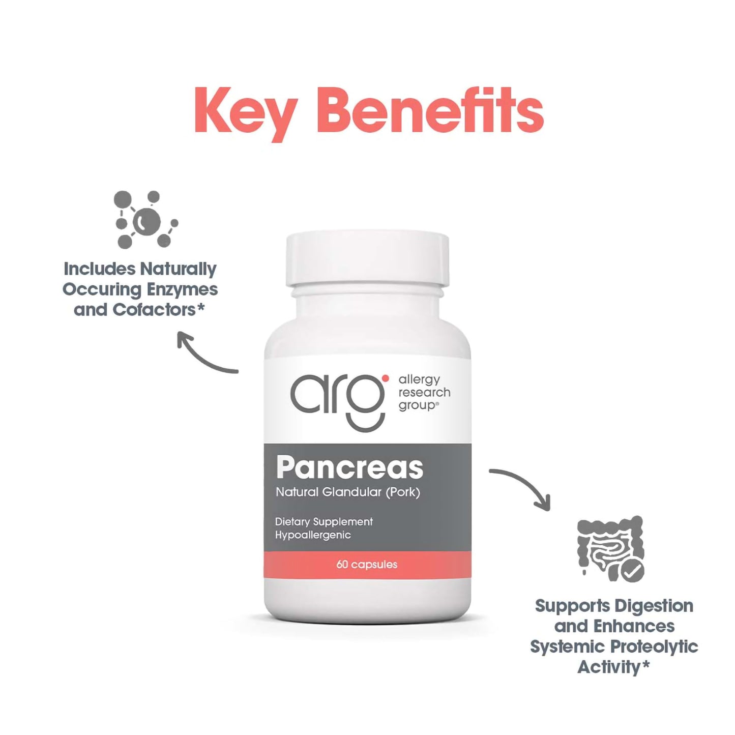 Authentic Allergy Research Group freeze dried pancreas tissue capsules supplement