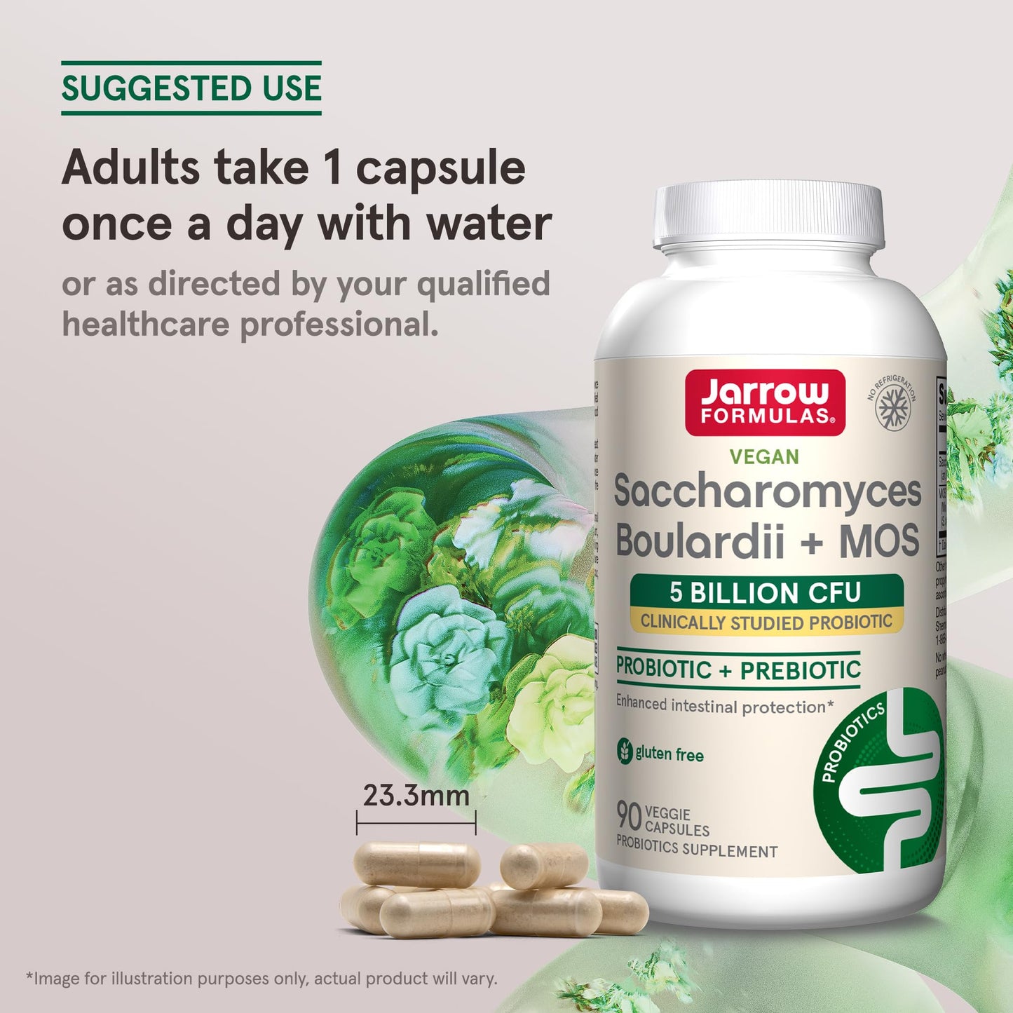 Jarrow Formulas Saccharomyces Boulardii 90 count bottle showing delayed release details
