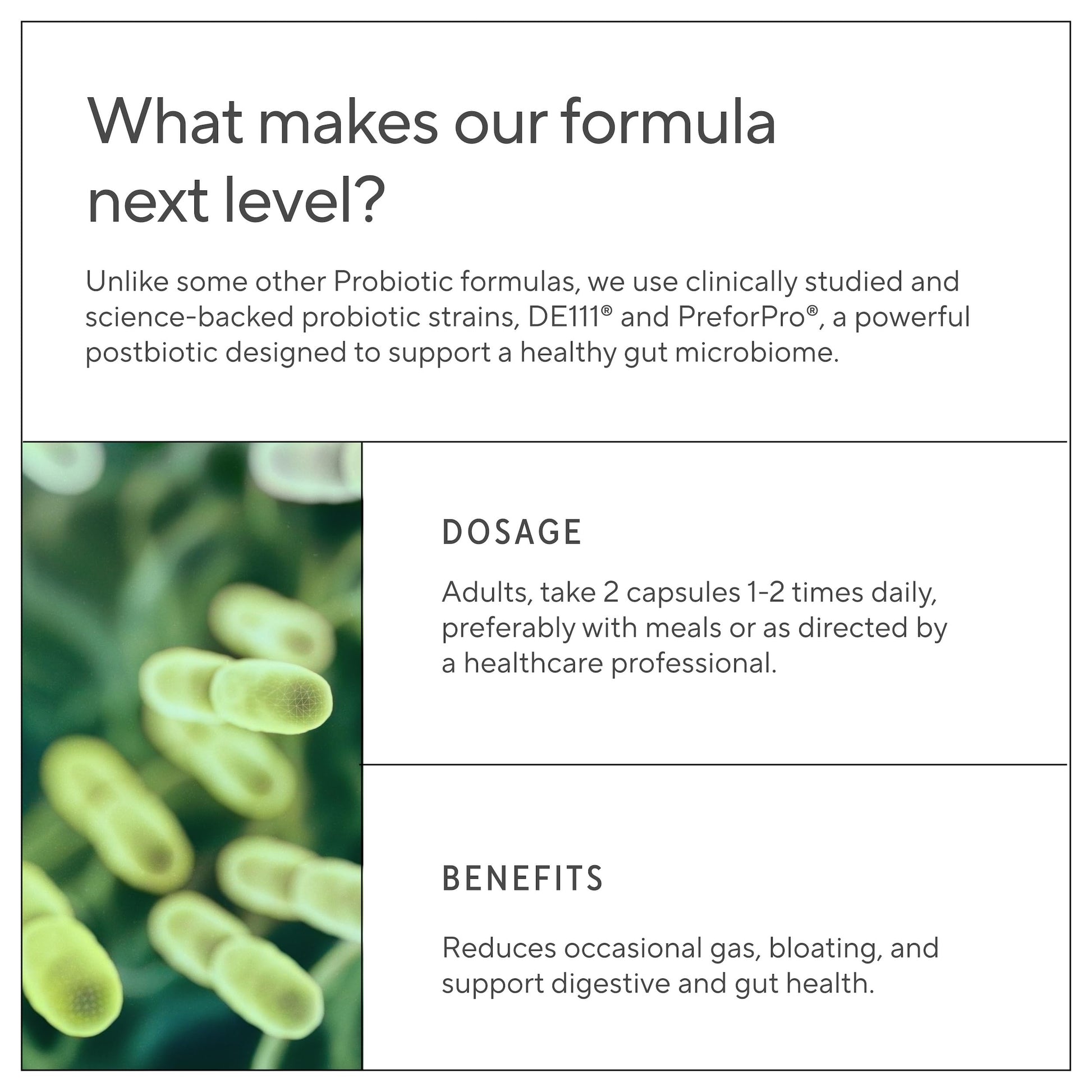Authentic Sunergetic USA imported digestive enzyme and probiotic formula for bloating relief