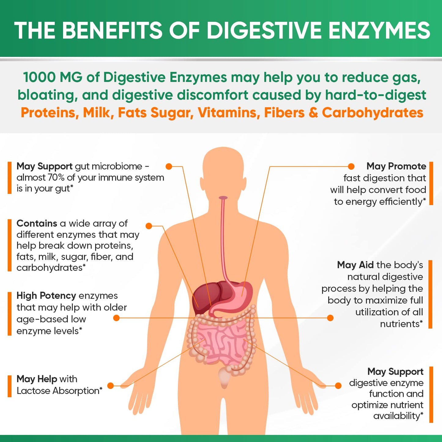 Wholesome Wellness multi enzyme blend for gas and bloating relief package information