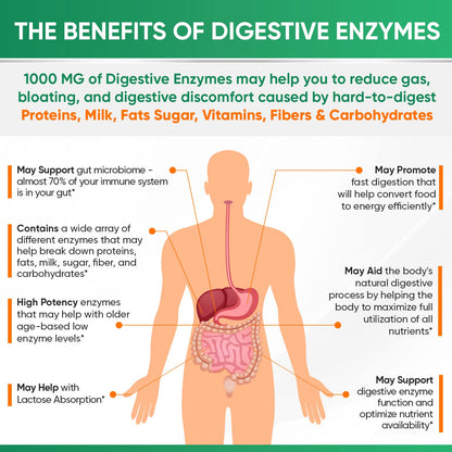 Wholesome Wellness multi enzyme blend for gas and bloating relief package information