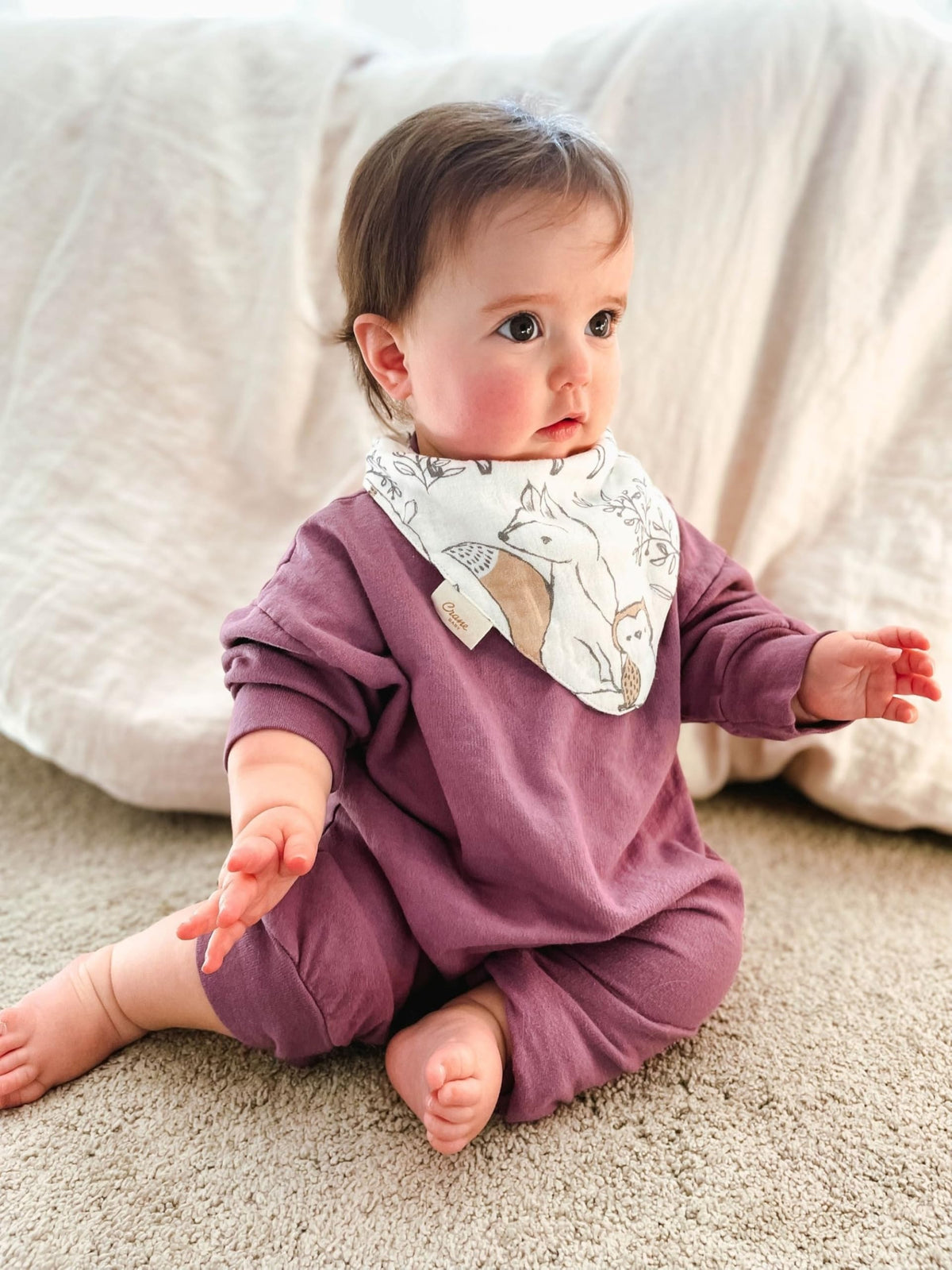 Crane Baby muslin bib set packaging and product variety